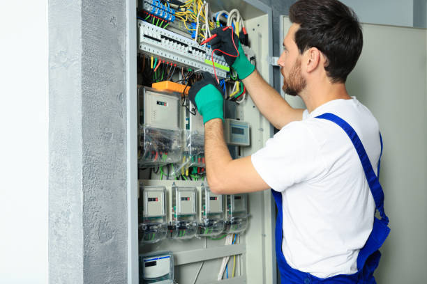 Best Electric Panel Repair  in Kahaluu, HI